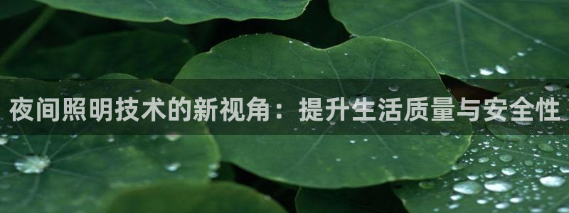 夜间照明技术的新视角：提升生活质量与安全