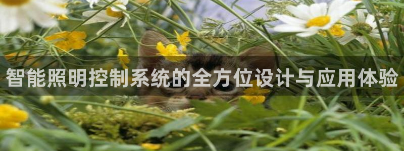 智能照明控制系统的全方位设计与应用体验