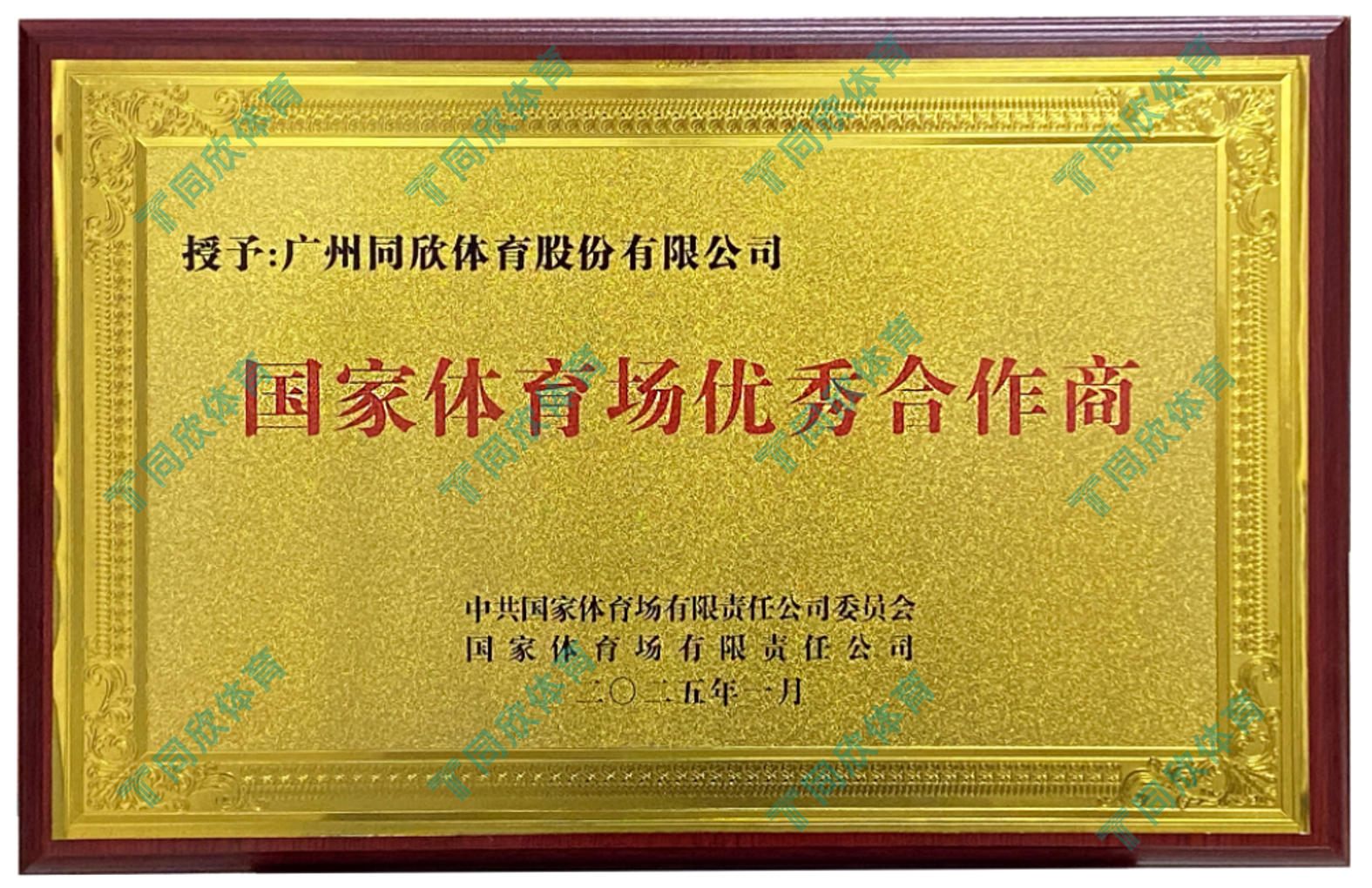 真人游戏(官方)最新IOS/安卓版/手机版APP下载